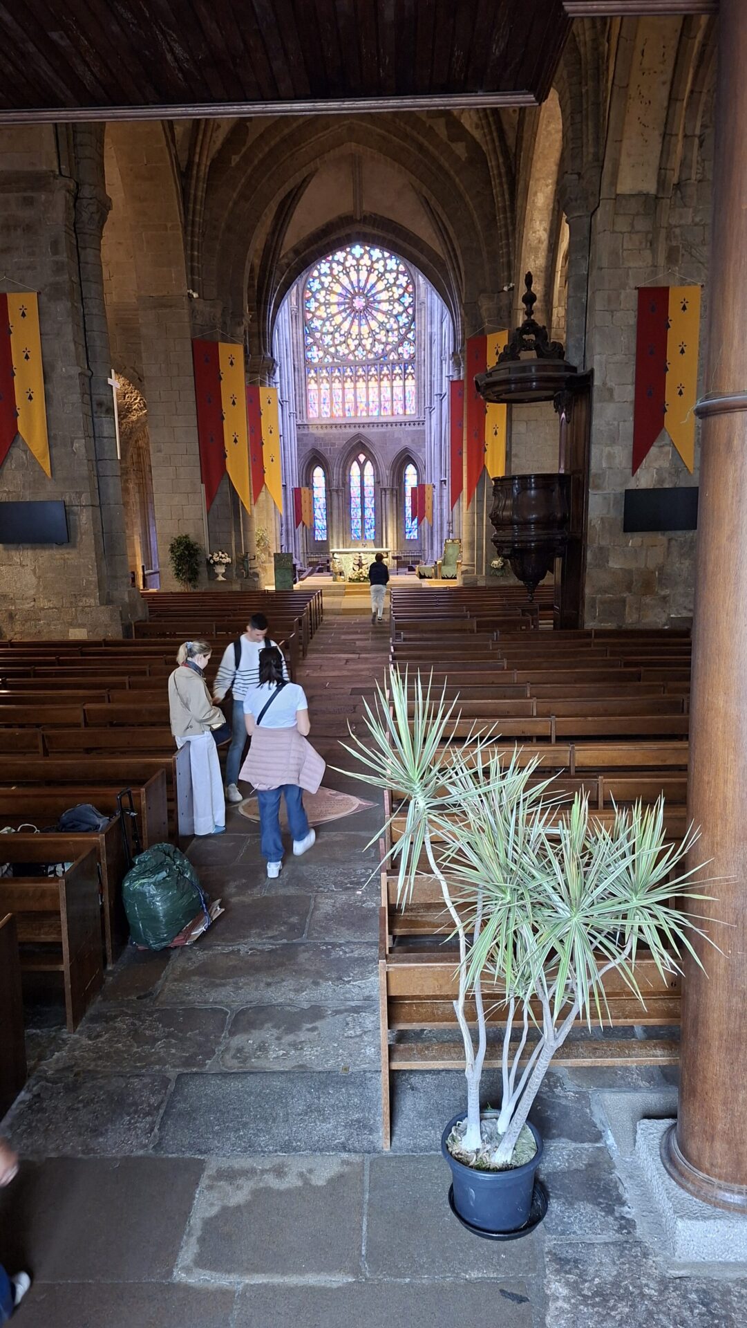 Cathédrale Saint Vincent